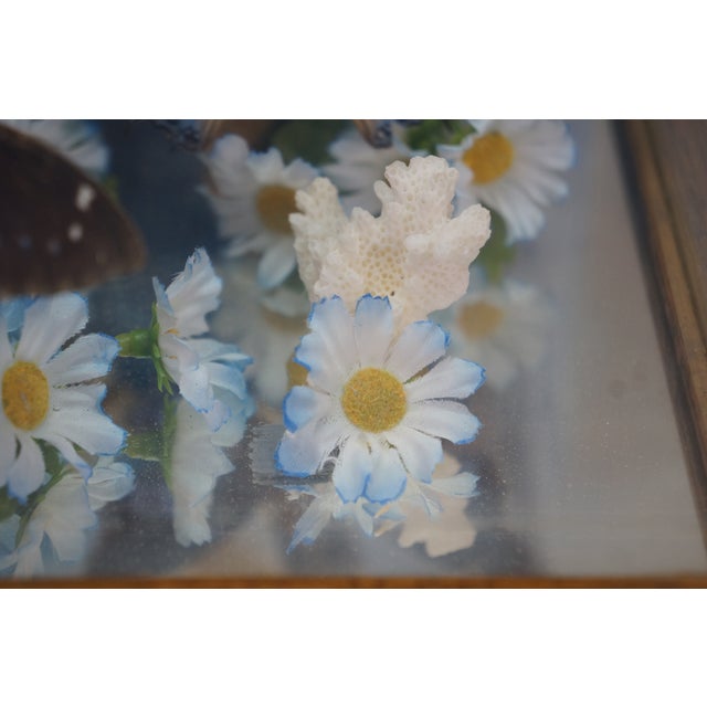 Vintage Floral Butterfly Taxidermy Apothecary Shadow Box Display Case Specimen For Sale - Image 13 of 13