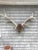 Large pair of American Elk antlers mounted on a hand carved antique pine wood head. This is a monumental size trophy,...