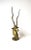 Metal Brass Gazelle Antelope Animal Sculpture Decorative Object, Tall For Sale - Image 7 of 13