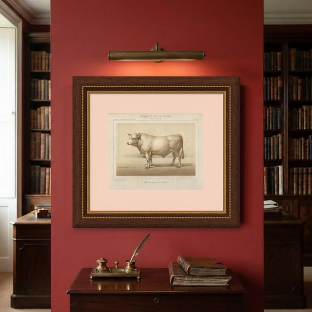 Paper Borie, Charolais Bull, French Cattle Breed, 1863, Chromolithograph For Sale - Image 7 of 9