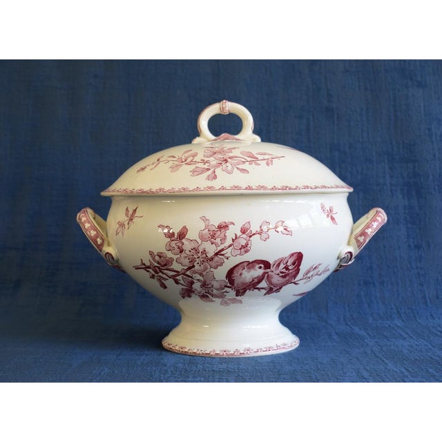 Antique French Red Favori Soup Tureen in Earthenware from Sarreguemines, 1890s For Sale - Image 13 of 13