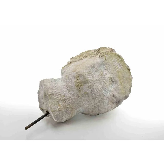 Stone sculture realized by sirio pellegrini in 1960s. Hand carved. Good condition. Sirio pellegrini, born in rome on march...