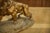A. Fagotto, Lion Sculpture, 1920s, Terracotta For Sale - Image 9 of 12