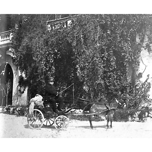 1970s "The Happy Summer Days: A Sicilian Childhood" 1976 Fulco For Sale - Image 5 of 11