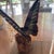 Wood Birdwing Butterfly in a Display Case on Wood. Triedes Brookiana. For Sale - Image 7 of 7