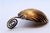 Gold Serving Spoon with Curled Handle For Sale - Image 5 of 7