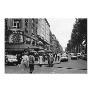 Avenue Des Champs-Élysées Paris Photograph by Don Ware