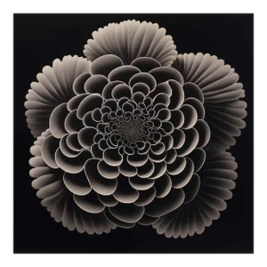 20' X 20' 'Heliotropium' Flower #2 - Black and White Limited Edition Botanical Photography Print, Unframed