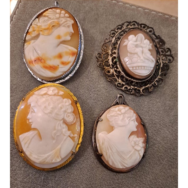 Group of 4 High Relief Cameo Pins/Pendents Carved from Bull Mouth Shell Unmarked Silver Settings 2.5mm x 4mm 4mm x 4mm 2...