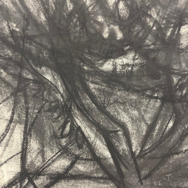 Modern Richard Snyder Modern Tree Landscape Drawing For Sale - Image 3 of 4