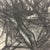 Modern Richard Snyder Modern Tree Landscape Drawing For Sale - Image 3 of 4