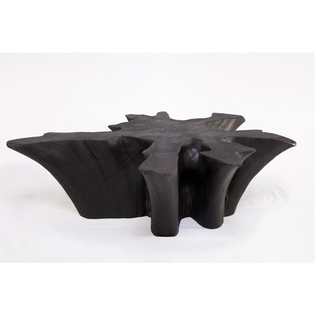 Black Burnt Organic Teak Root Coffee Table 78 For Sale - Image 4 of 6