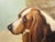 Brown English Oil on Canvas Painting Depicting a Bloodhound Dog, Signed and Dated For Sale - Image 8 of 12
