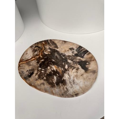 Very Large Vide-Poche or Dish in Petrified Wood For Sale - Image 6 of 18