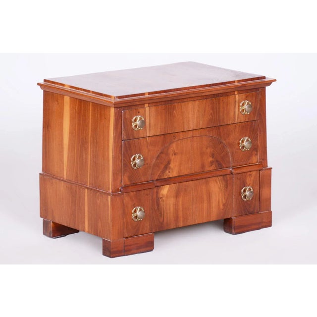 Biedermeier Jewelry Box in Spruce & Plum-Tree, Germany, 1830s For Sale - Image 11 of 11