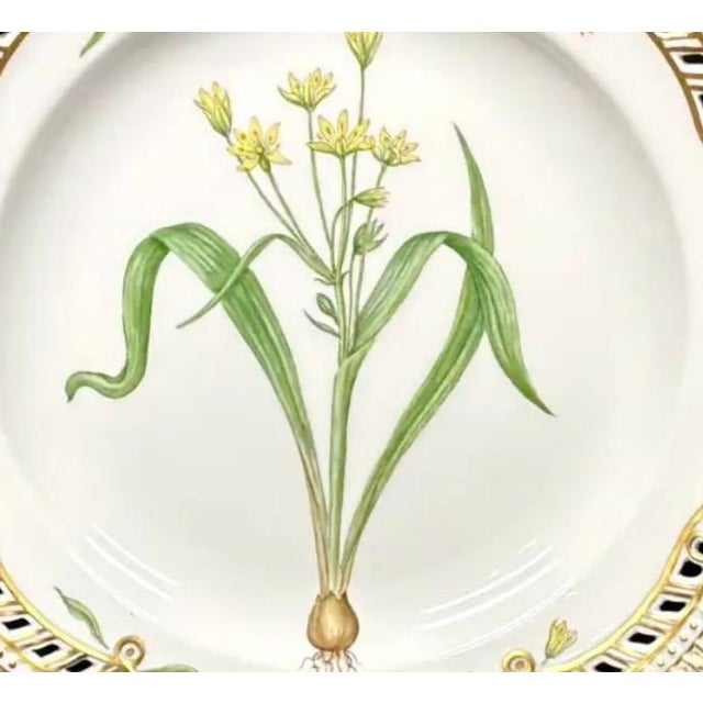 Mid 20th Century Royal Copenhagen Flora Danica, Gagea Lutea Var Glaucascens Lge., Gilt Border For Sale - Image 5 of 8