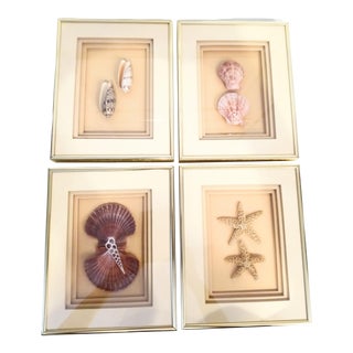 Vintage Small Gold Metal Framed Peach Matte Coastal Shell Art Wall Prints Set of 4 For Sale