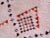 Contemporary Vintage Mid-Century Sand Colored Beni-Ouarain Berber Moroccan Rug For Sale - Image 3 of 9