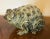 1965 American Art Pottery Mid-Century Modern Sculpture of a Toad or Bull Frog For Sale - Image 12 of 13