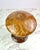 Cohn-Stone Studios Signed Art Glass "Tortoise Shell" Vase - 8" c.2000 For Sale In Portland, OR - Image 6 of 10