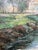 Wood 20th Century C. Giliano Parisian River Cityscape Framed Oil Painting For Sale - Image 7 of 12