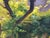 Late 20th Century Large Blue & Green “A Loggia at Amalfi” Landscape After C. F. Aagaard in Ornate Gold Frame For Sale - Image 10 of 14