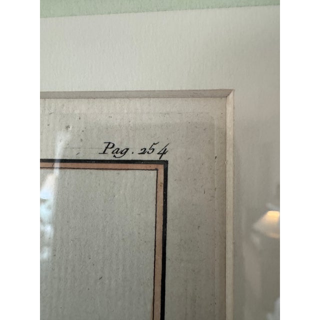 Late 18th Century 18th Century French Hand-Colored Botanical Pear Engravings – “Bezy De Quessoy” & “Messire-Jean” – Framed Pair For Sale - Image 5 of 12