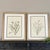 This beautiful framed set of 2 original vintage botanical wild flower prints were published in 1953. These 72 year old...
