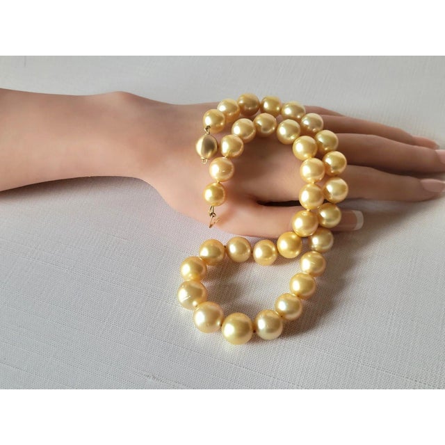 South Sea Golden Pearls Necklace With 14k Gold Clasp For Sale - Image 10 of 11