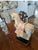Tang Dynasty Terracotta Pottery Parade Horse, For Sale - Image 10 of 10