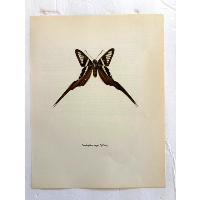 Up for sale is this gorgeous lithograph by F. Prochazka, published in Great Britain in 1965. It is in excellent, gently-...