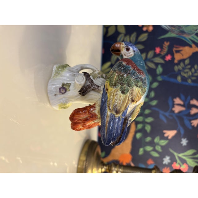 Porcelain Figure Parrot from Meissen Porcelain, 1940s For Sale - Image 3 of 7