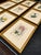 William Curtis Set of 9 Framed Hand-Colored Botanical Engravings From William Curtis's Botanical Magazine, 19th Century For Sale - Image 4 of 4
