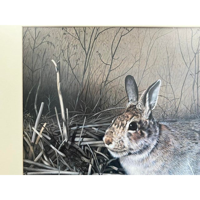 Charles Fracé “My Friend – Eastern Cottontail” Limited Edition Wildlife Print For Sale - Image 12 of 14