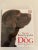 New Encyclopedia of Dog Bruce Fogle. "One of the most comprehensive explorations of the canine world ever published." All...