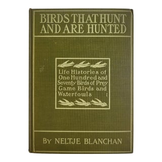 1904 Edition of Birds That Hunt & Are Hunted by Neltje Blanchan For Sale