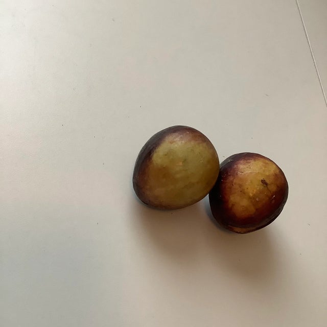 Early 20th Century Early 20th Century Italian Alabaster Stone Red Plums - a Pair For Sale - Image 5 of 12