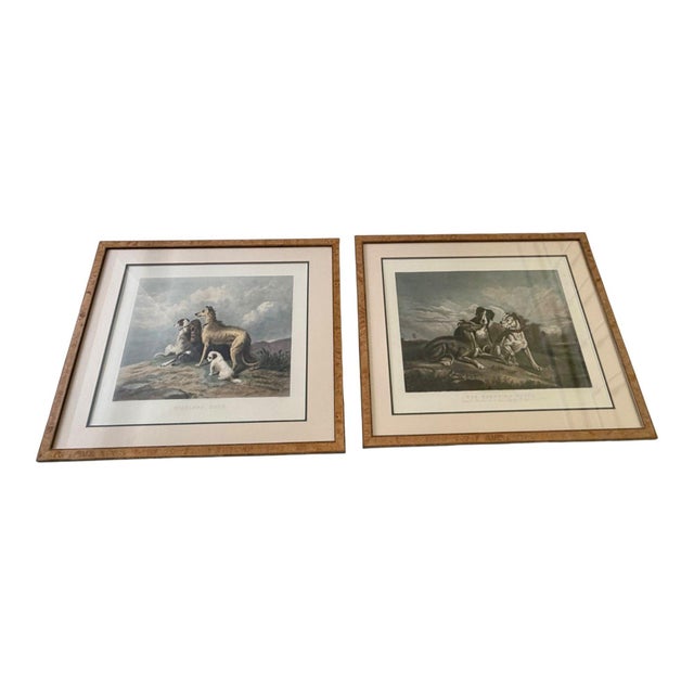 Wood Mid 19th Century Victorian Hand-Colored Engraving "The Boasting Hound" After Sir Edwin Landseer in Burlwood Gallery Frame For Sale - Image 7 of 8
