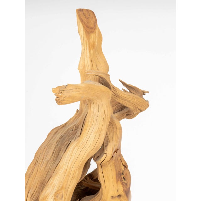 Dale Zarrella Portrait Driftwood Sculpture, 1996 For Sale - Image 11 of 18