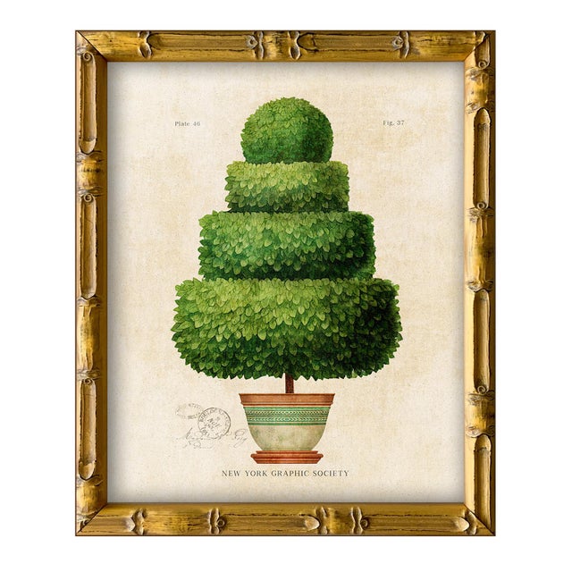 Framed Reproduction Vintage "Topiary Garden (Set of 4)" Art Prints For Sale In New York - Image 6 of 7