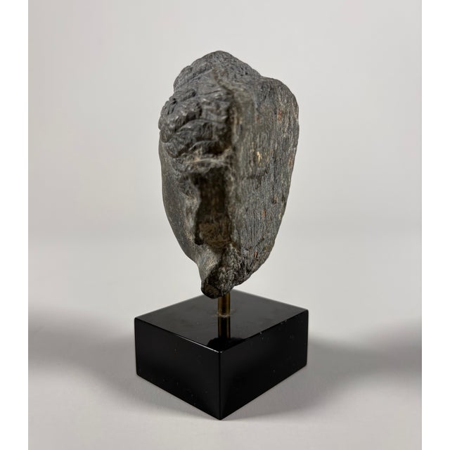 Sculpture De Tête De Bouddha en Schiste Gris De Gandhara, Royaumes Indo-Grecs, Ier–IIe Siècle For Sale - Image 6 of 7