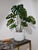 Vintage Chippendale Style Cachepot in White Glazed Ceramic, 1970s For Sale - Image 4 of 16