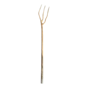 Antique Tree Fork