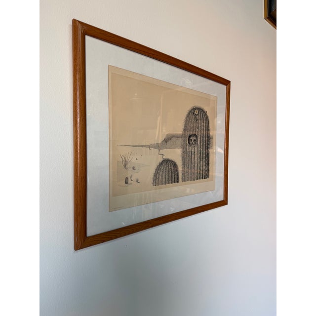 Mid-Century Modern 1976 Vintage Peter Parnall “Elf Owl” Serigraph Print – Signed For Sale - Image 3 of 12