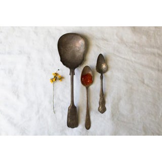 Yellow Flowers and Red Jam by Curtis Speer Print, 24" x 36" For Sale