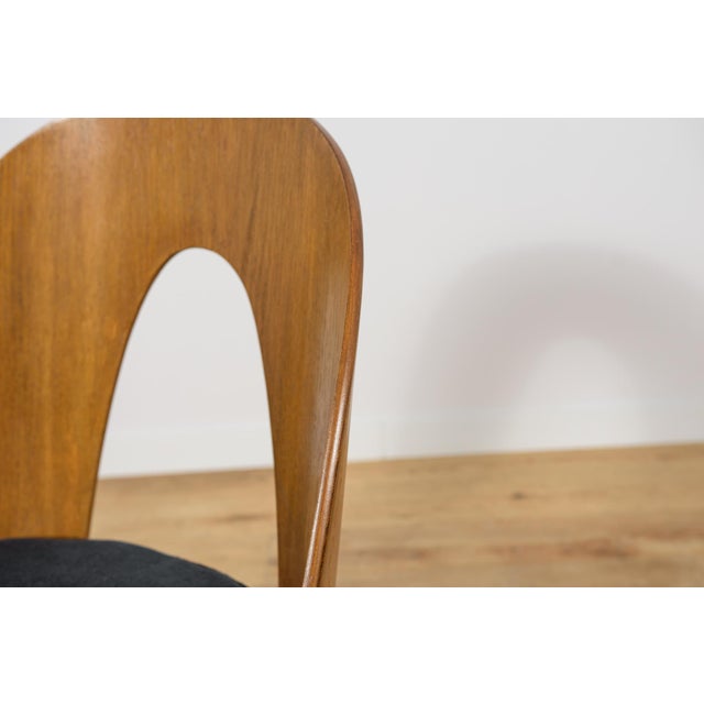 Mid-Century Oak Dining Chairs by Antonín Šuman for Tatra Nábytok, Czechoslovakia, 1960s, Set of 6 For Sale - Image 14 of 18