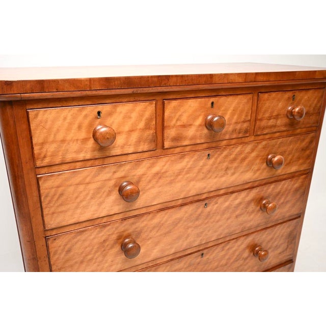 Brown Large Antique Victorian Satin Wood Chest of Drawers, 1840 For Sale - Image 8 of 10