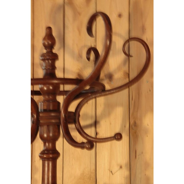 Tan Parrot Coat Rack from Fischel, 1890 For Sale - Image 8 of 12