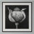 Contemporary Poppy Pod Head No. 5 - Black and White Botanical Floral Photograph Print | Karl Blossfeldt | Unframed For Sale - Image 3 of 3