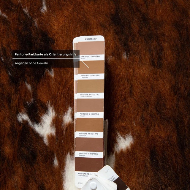 LC 4 Lounger in Brown Cowhide Fur by Le Corbusier for Cassina For Sale - Image 11 of 16